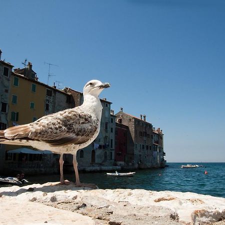 Ferienwohnung Maximus Rovinj Exterior foto