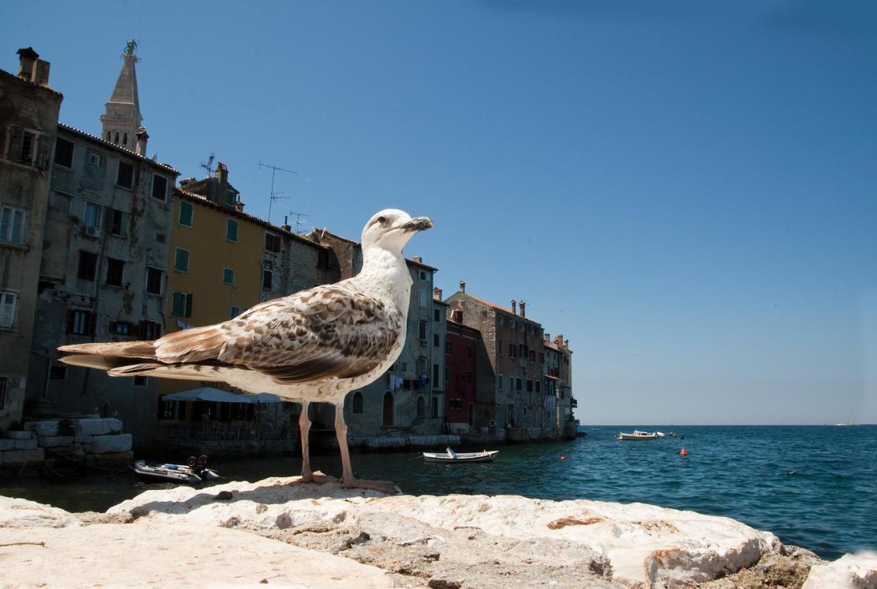 Ferienwohnung Maximus Rovinj Exterior foto